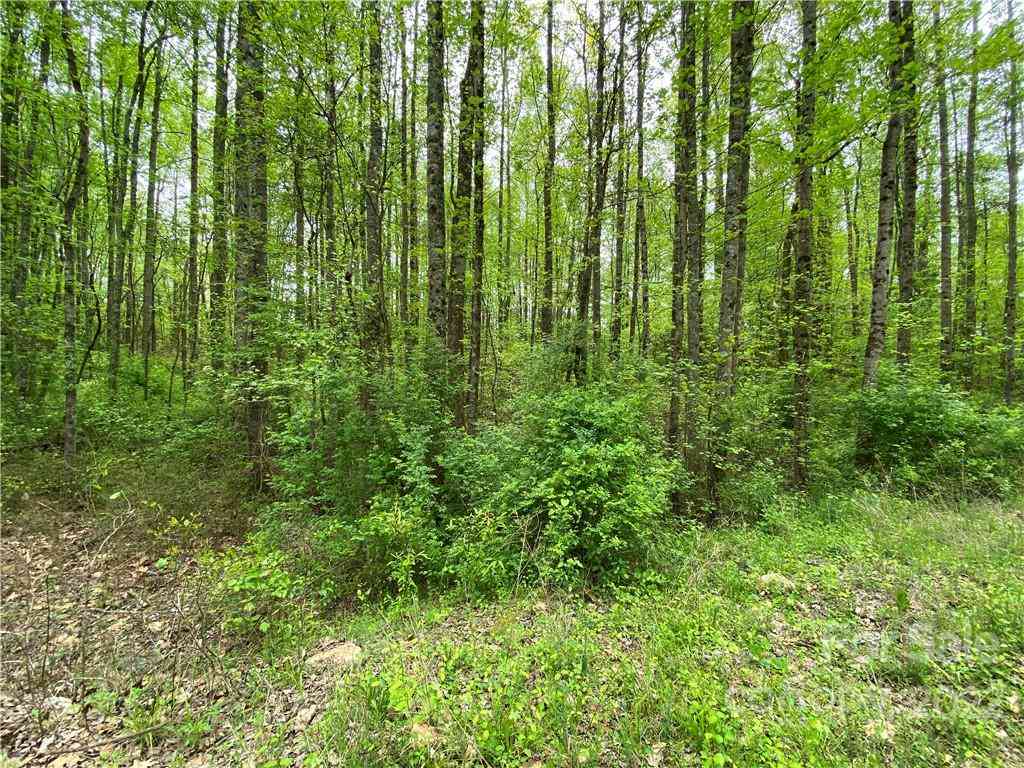 00 Sunrise Trail, Lincolnton, North Carolina image 5