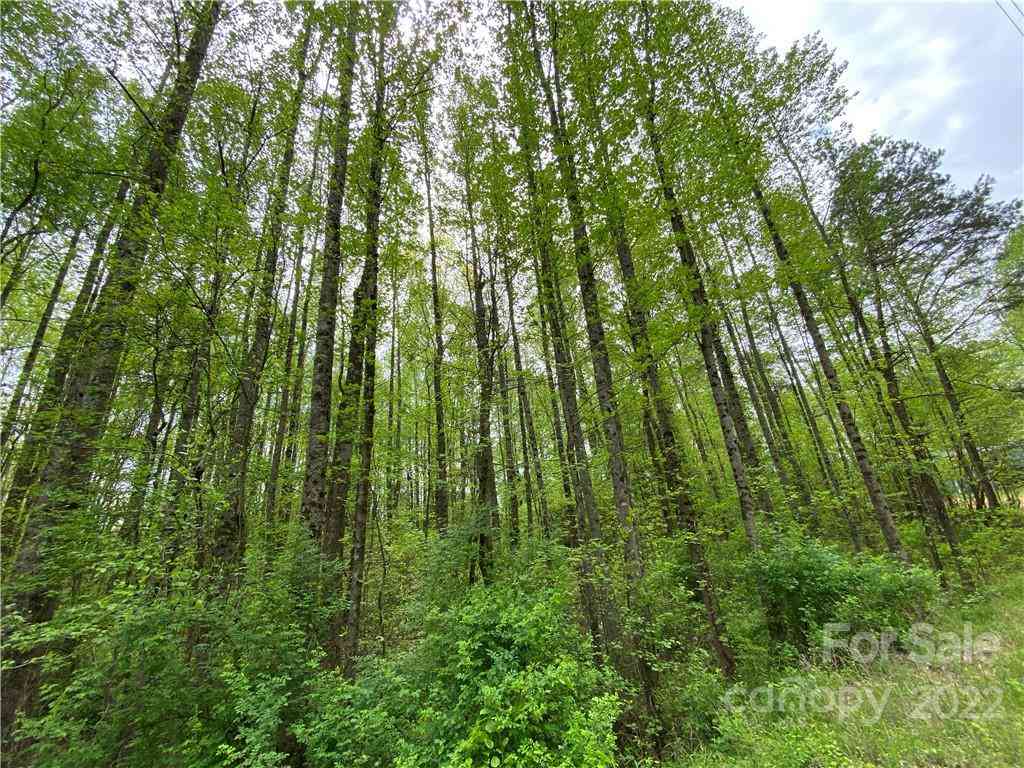 00 Sunrise Trail, Lincolnton, North Carolina image 7