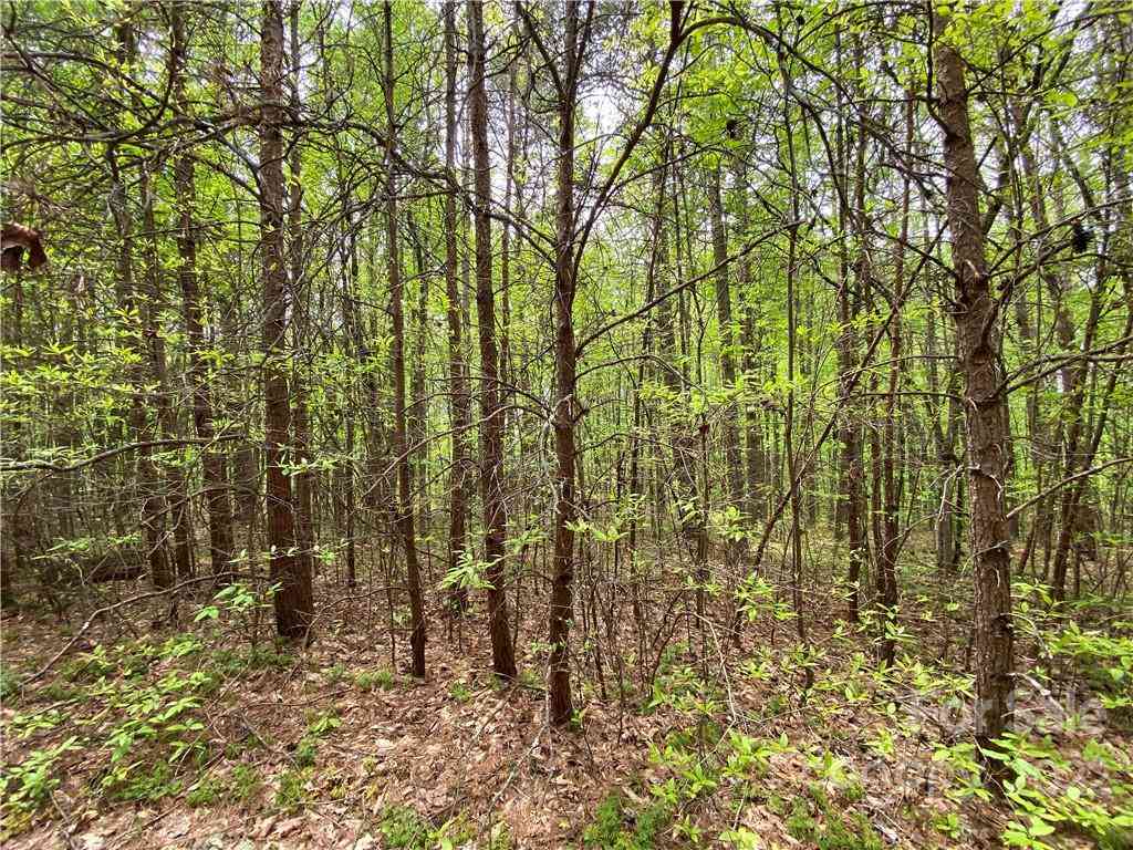 00 Sunrise Trail, Lincolnton, North Carolina image 27