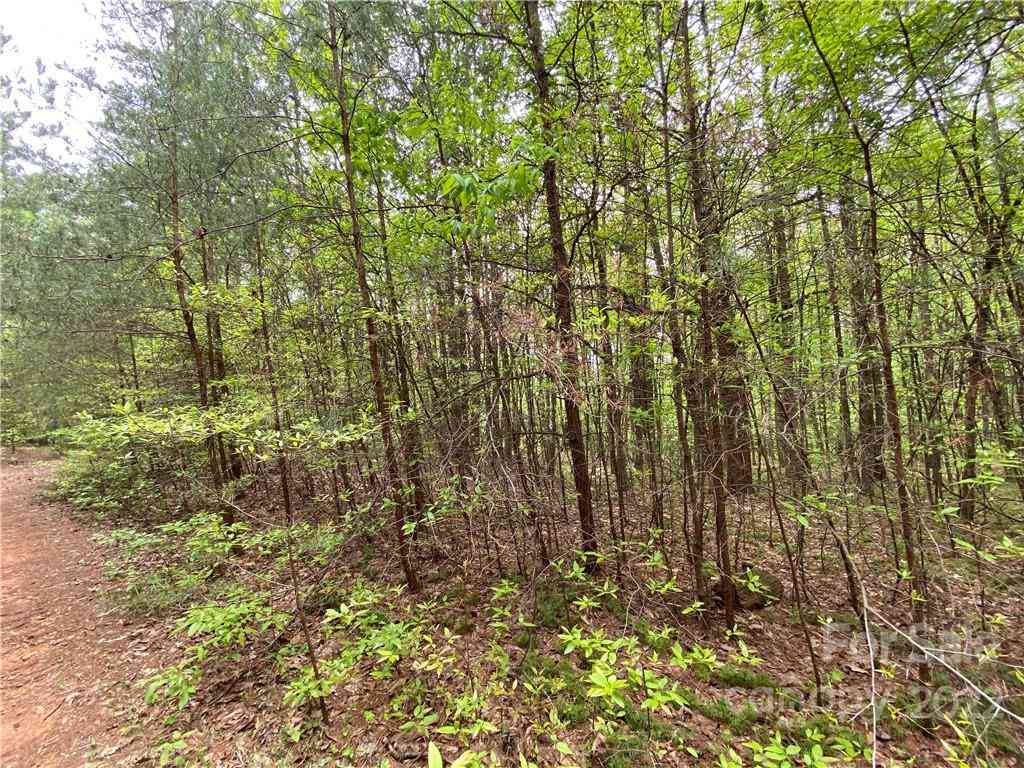 00 Sunrise Trail, Lincolnton, North Carolina image 15