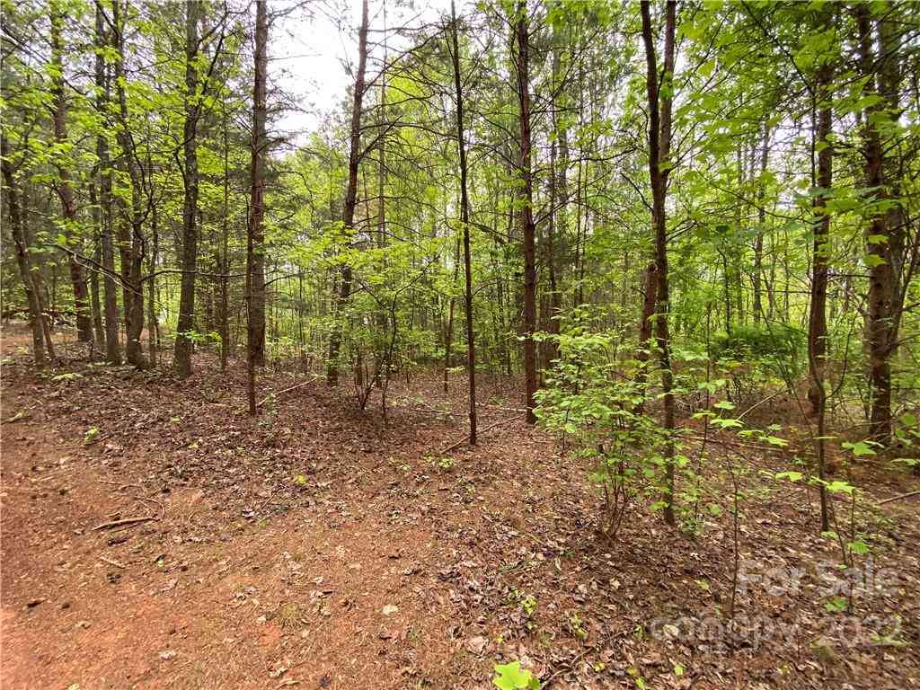 00 Sunrise Trail, Lincolnton, North Carolina image 43
