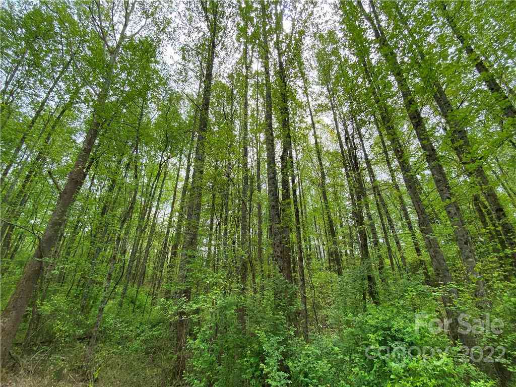 00 Sunrise Trail, Lincolnton, North Carolina image 6