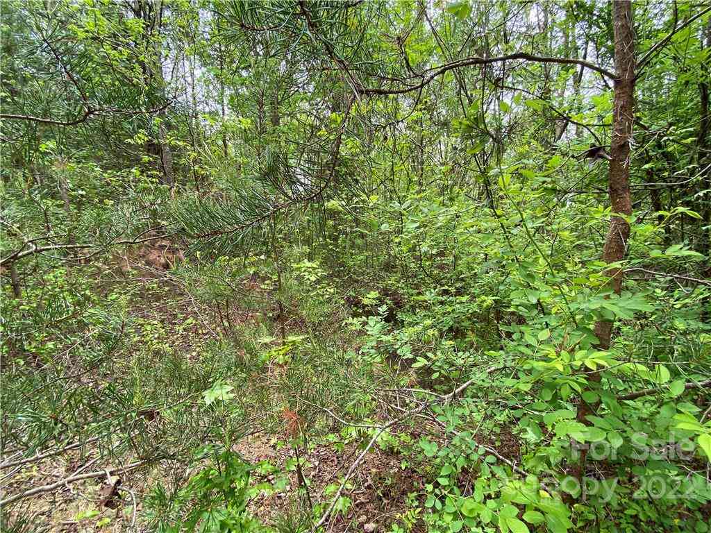 00 Sunrise Trail, Lincolnton, North Carolina image 32