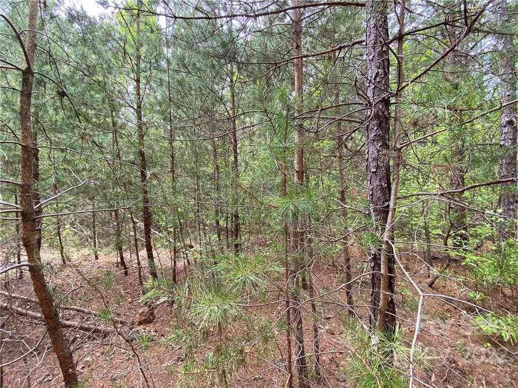 00 Sunrise Trail, Lincolnton, North Carolina image 22