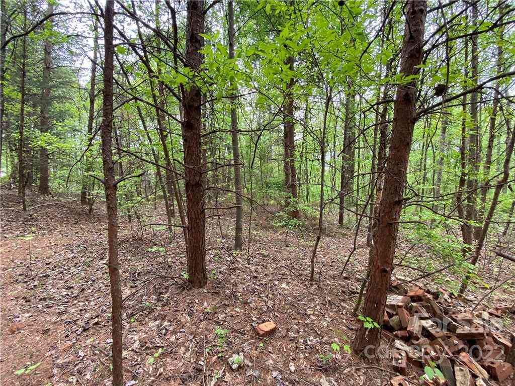 00 Sunrise Trail, Lincolnton, North Carolina image 42