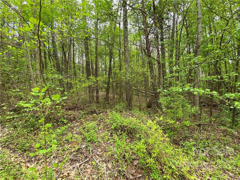 00 Sunrise Trail, Lincolnton, North Carolina image 10