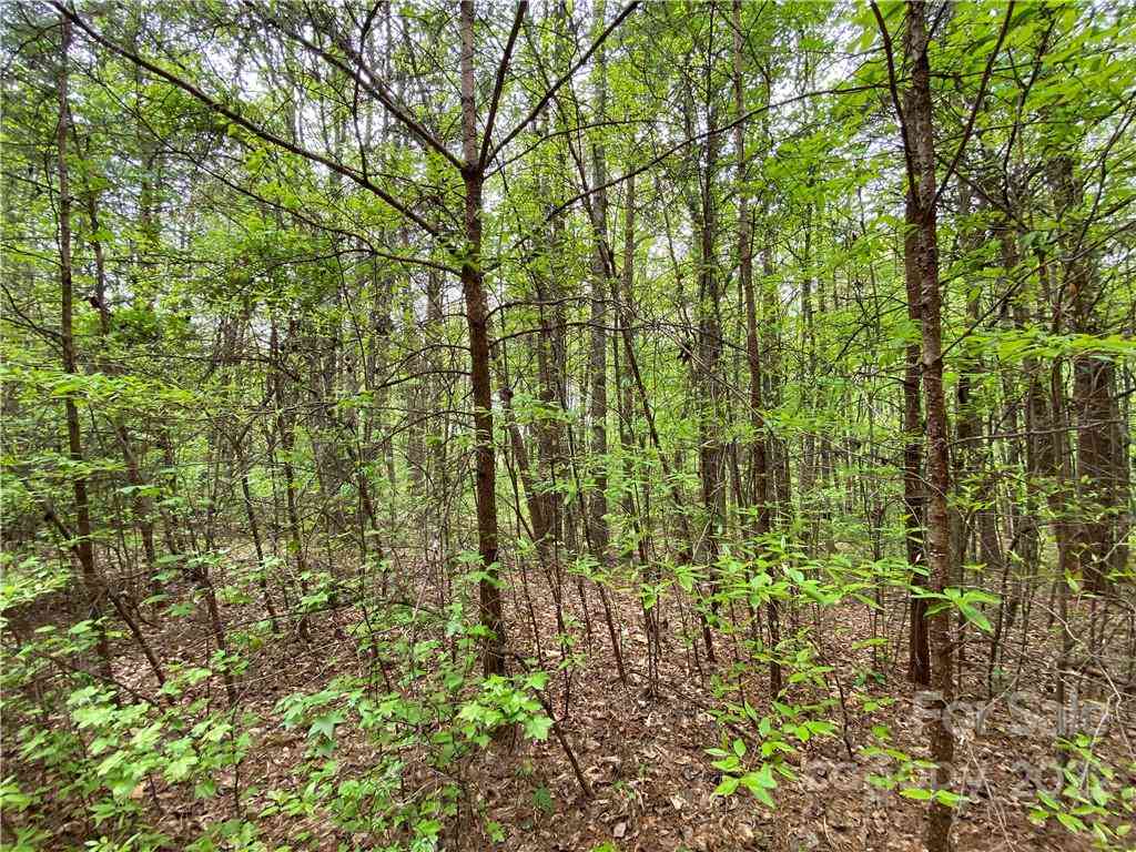 00 Sunrise Trail, Lincolnton, North Carolina image 17