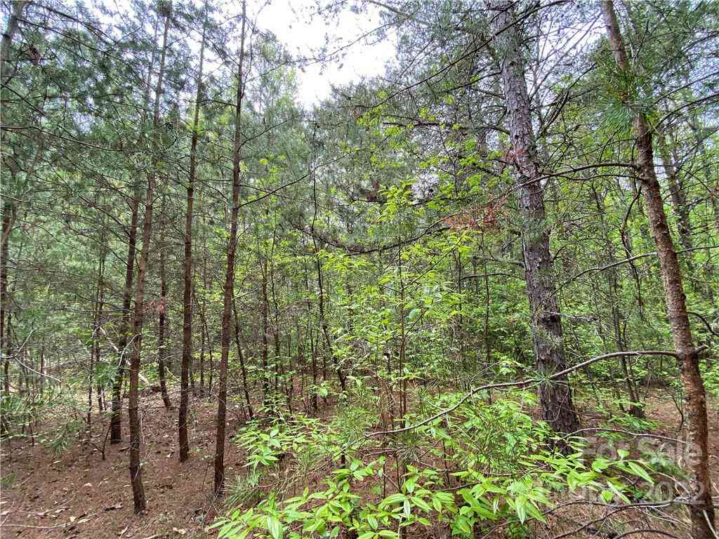 00 Sunrise Trail, Lincolnton, North Carolina image 21