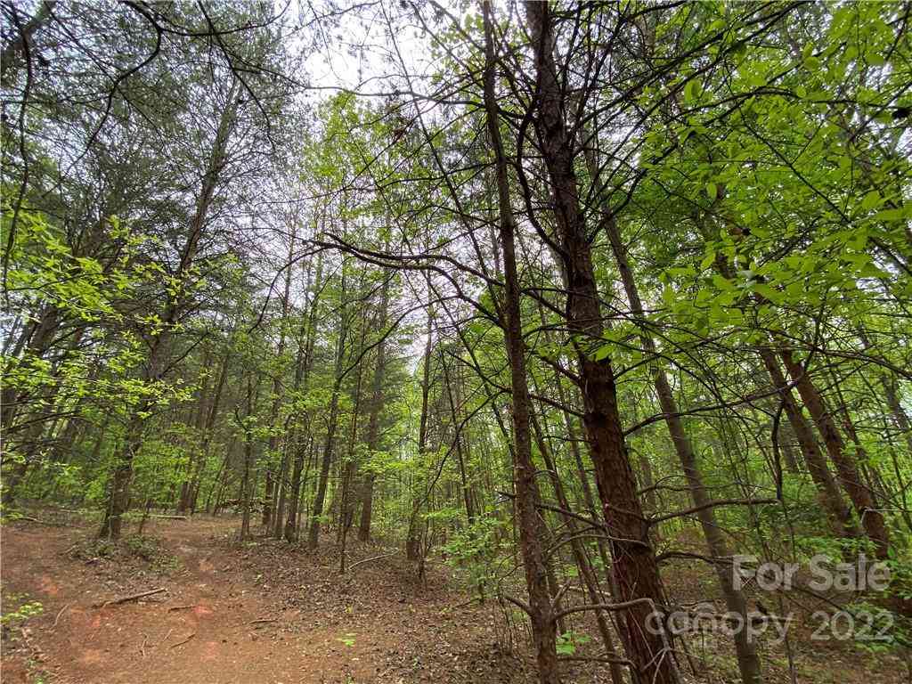00 Sunrise Trail, Lincolnton, North Carolina image 41