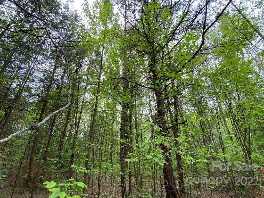 00 Sunrise Trail, Lincolnton, North Carolina image 36