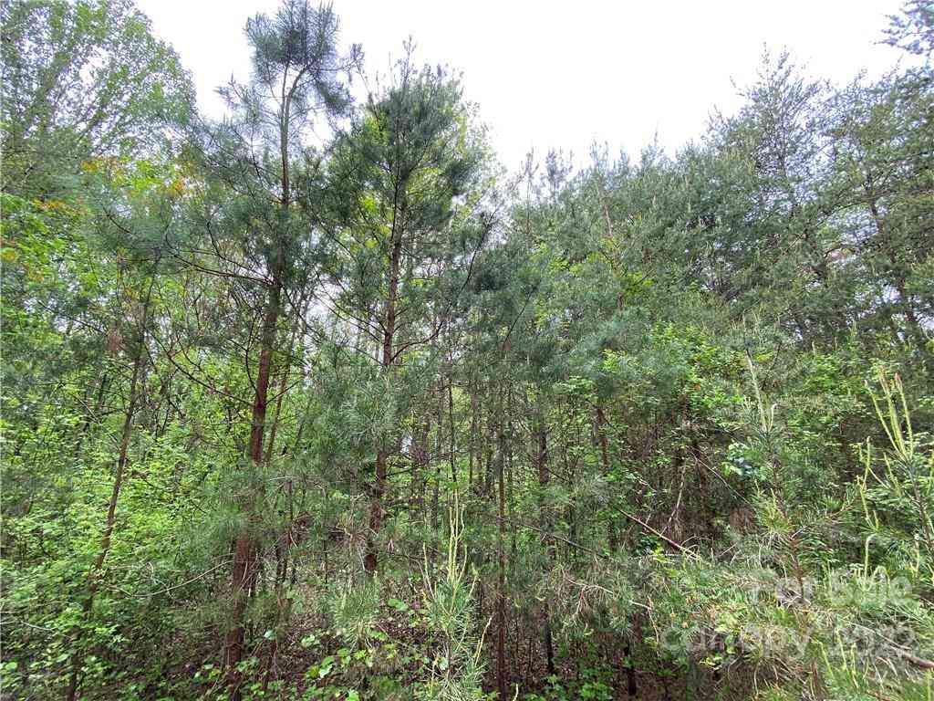 00 Sunrise Trail, Lincolnton, North Carolina image 28
