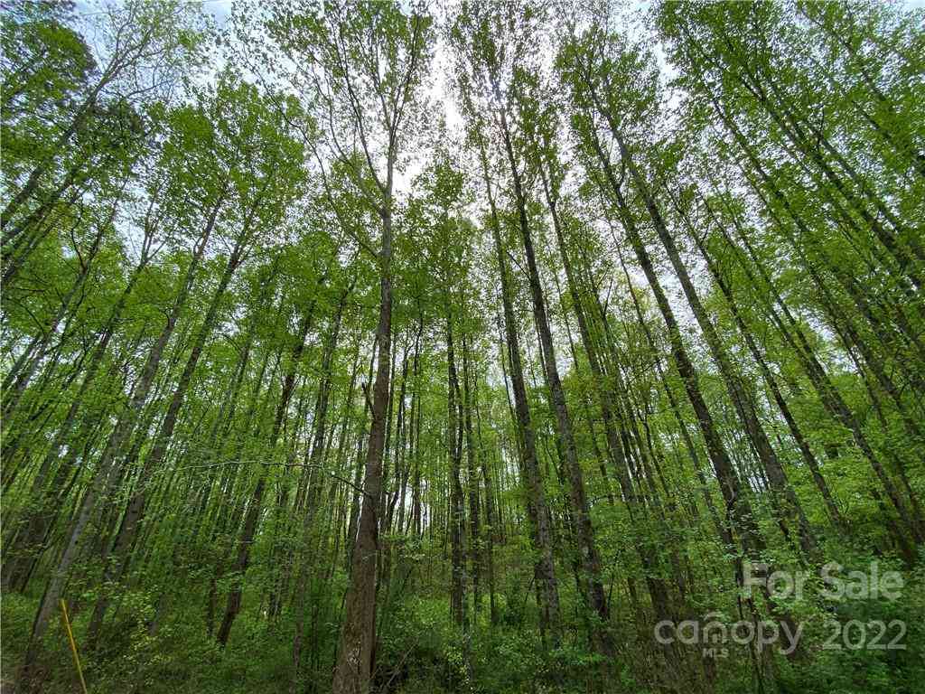 00 Sunrise Trail, Lincolnton, North Carolina image 4