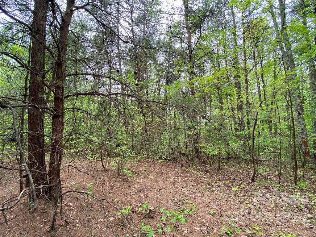 00 Sunrise Trail, Lincolnton, North Carolina image 19