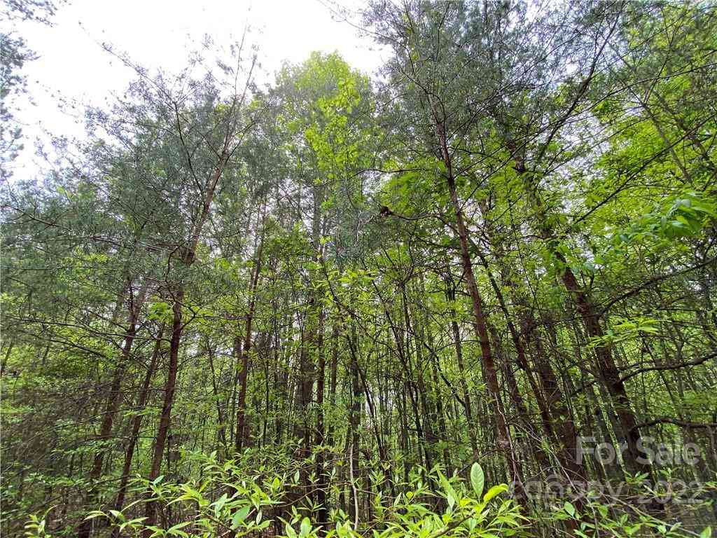 00 Sunrise Trail, Lincolnton, North Carolina image 16