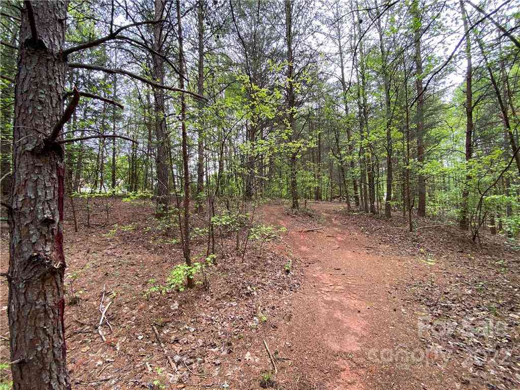 00 Sunrise Trail, Lincolnton, North Carolina image 39