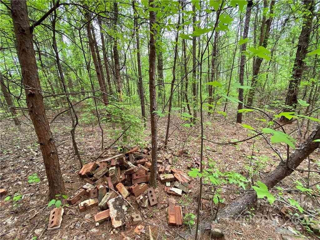 00 Sunrise Trail, Lincolnton, North Carolina image 35