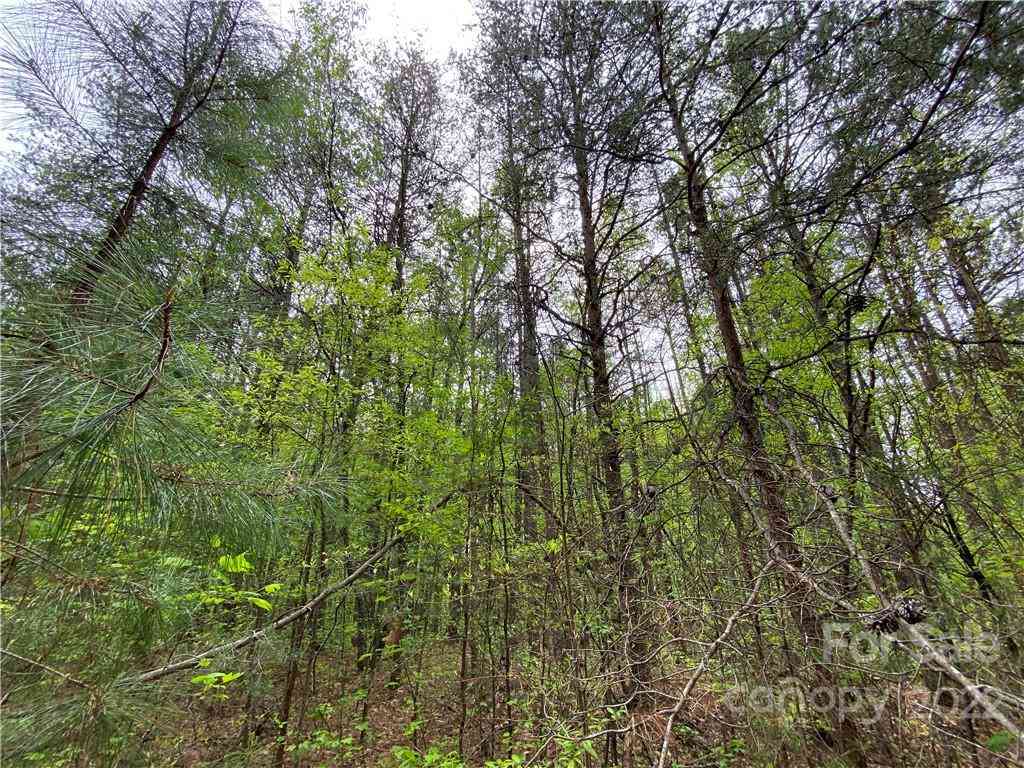00 Sunrise Trail, Lincolnton, North Carolina image 13