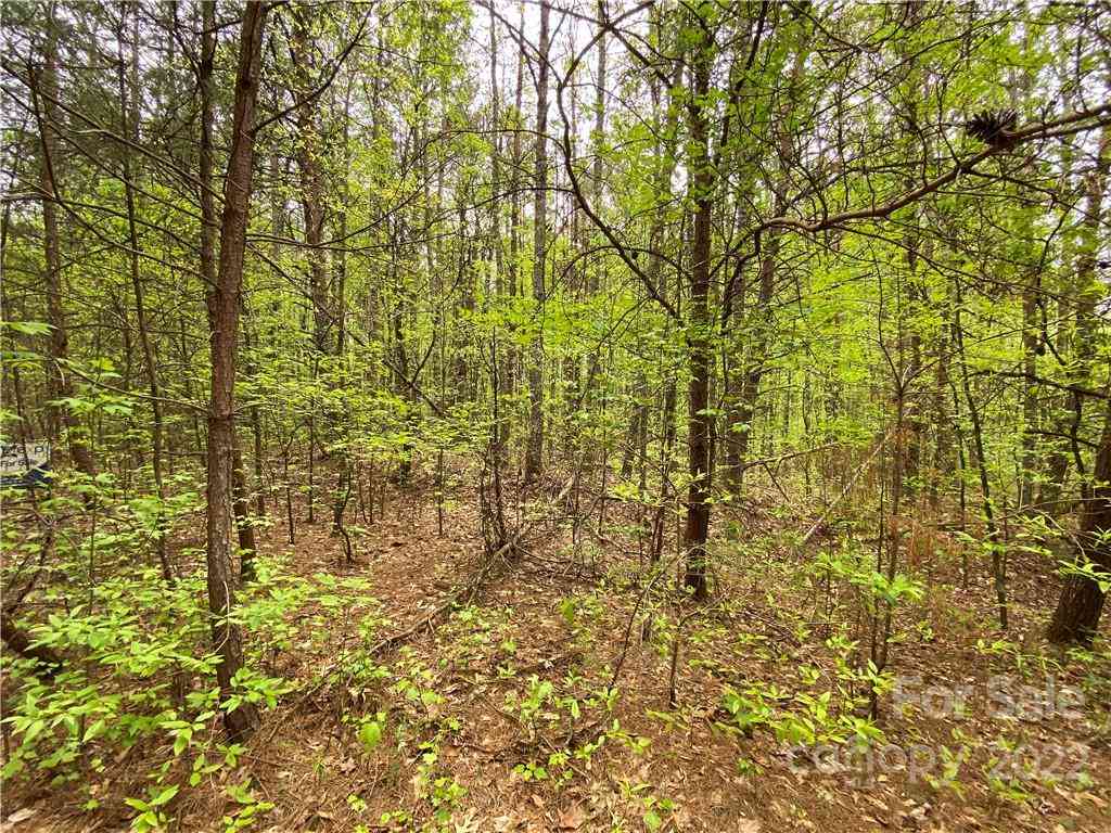 00 Sunrise Trail, Lincolnton, North Carolina image 12