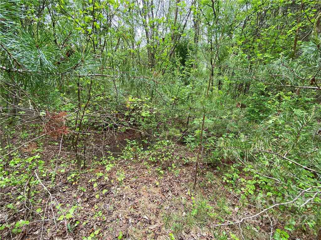 00 Sunrise Trail, Lincolnton, North Carolina image 29