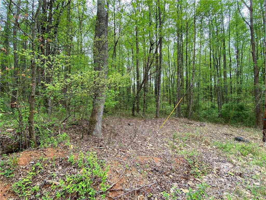 00 Sunrise Trail, Lincolnton, North Carolina image 8