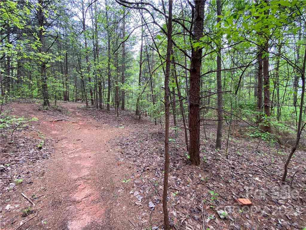00 Sunrise Trail, Lincolnton, North Carolina image 38