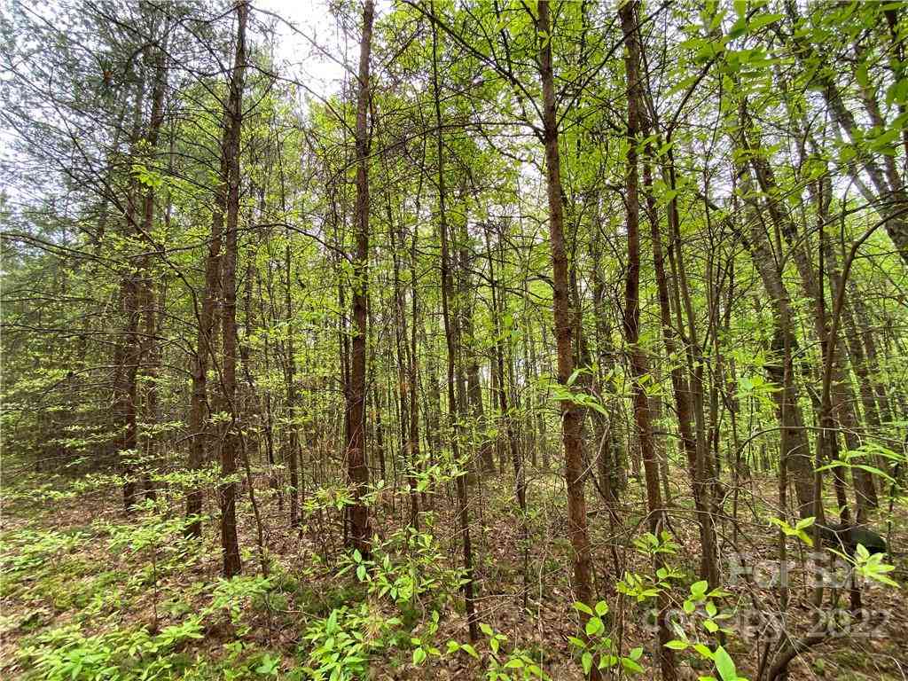 00 Sunrise Trail, Lincolnton, North Carolina image 14