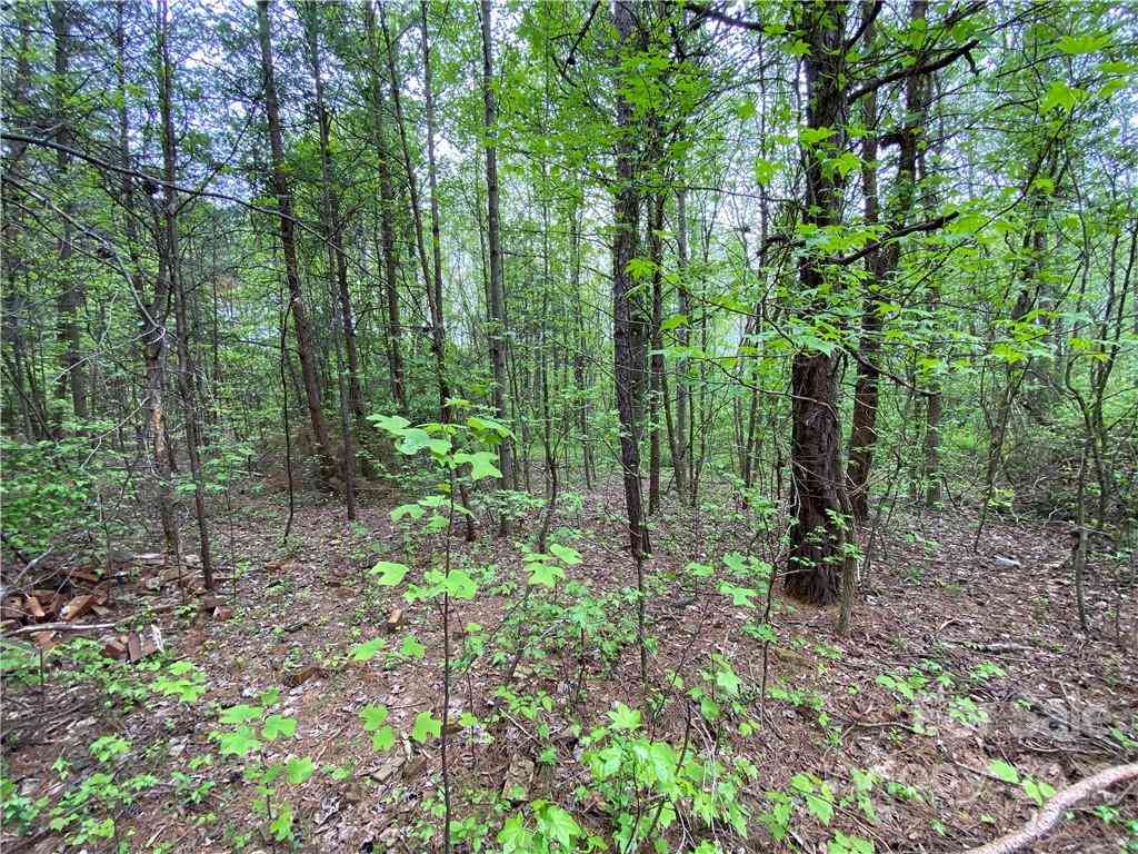 00 Sunrise Trail, Lincolnton, North Carolina image 33