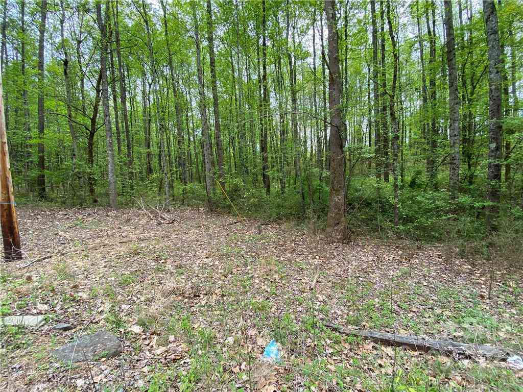 00 Sunrise Trail, Lincolnton, North Carolina image 3