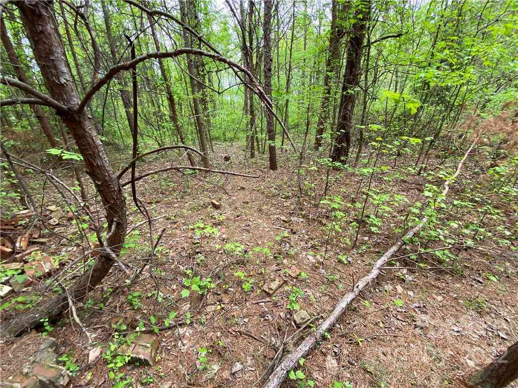 00 Sunrise Trail, Lincolnton, North Carolina image 34