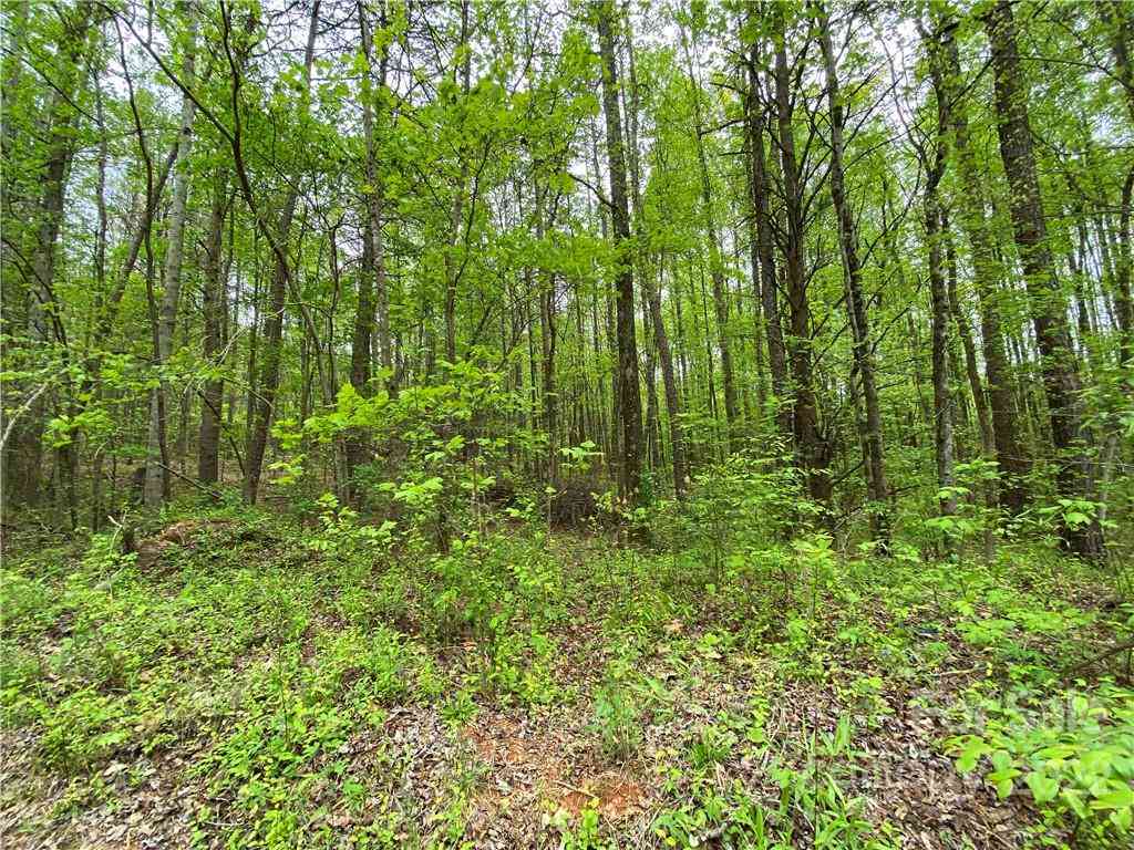 00 Sunrise Trail, Lincolnton, North Carolina image 9