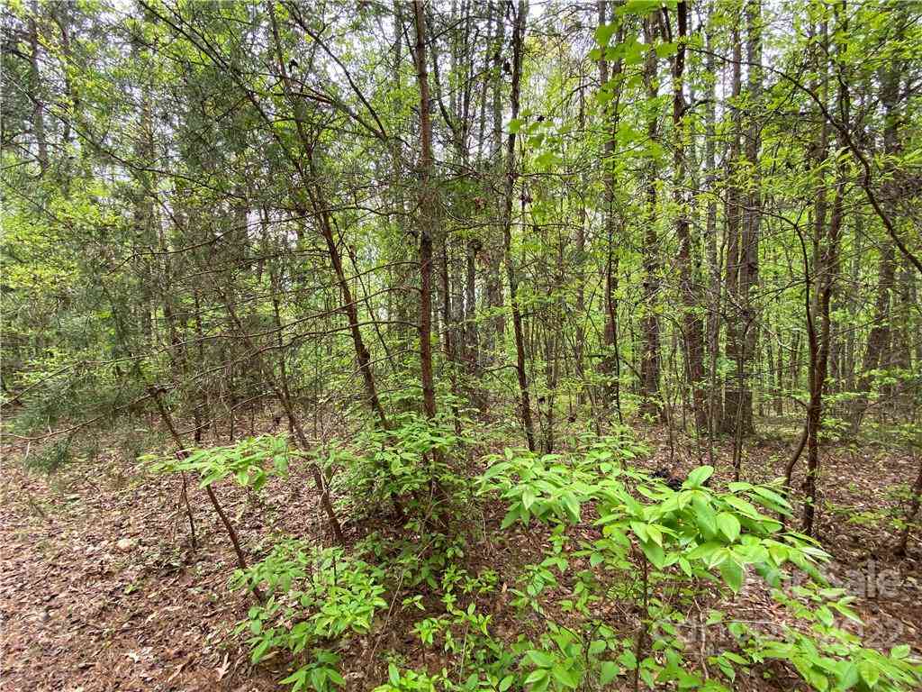 00 Sunrise Trail, Lincolnton, North Carolina image 18