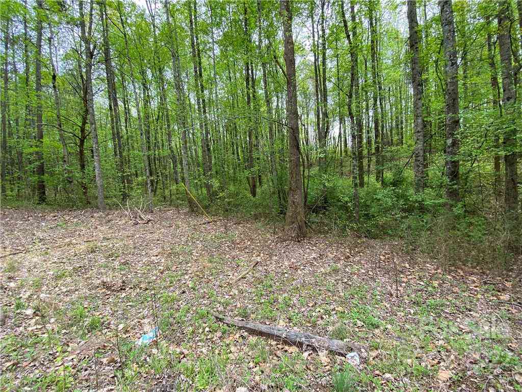 00 Sunrise Trail, Lincolnton, North Carolina image 2