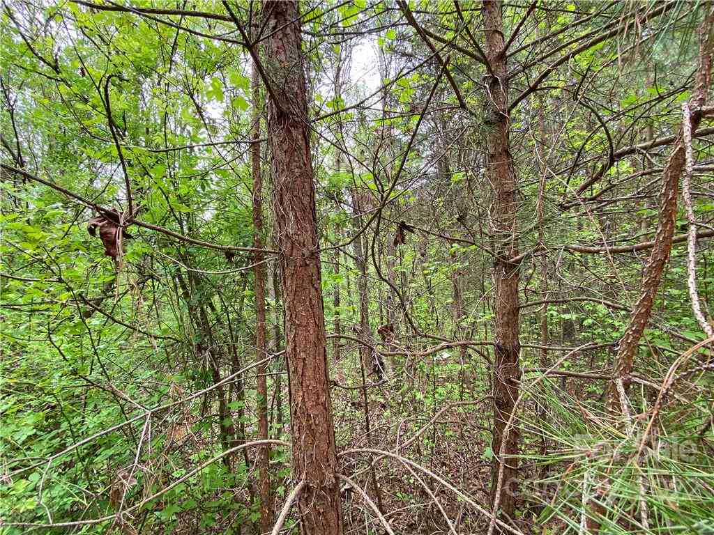 00 Sunrise Trail, Lincolnton, North Carolina image 30