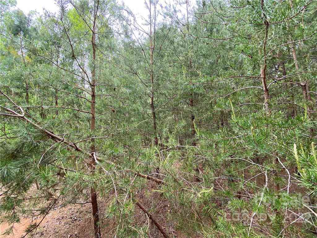 00 Sunrise Trail, Lincolnton, North Carolina image 23