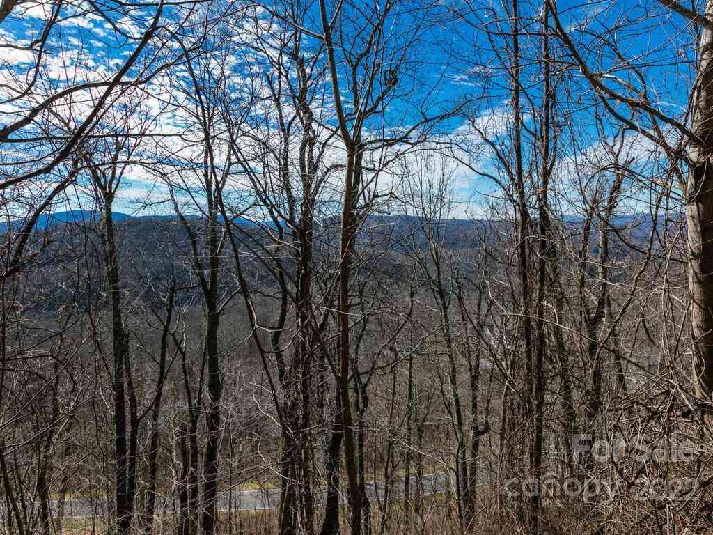 5 Flameleaf Lane #A1, Laurel Park, North Carolina image 9