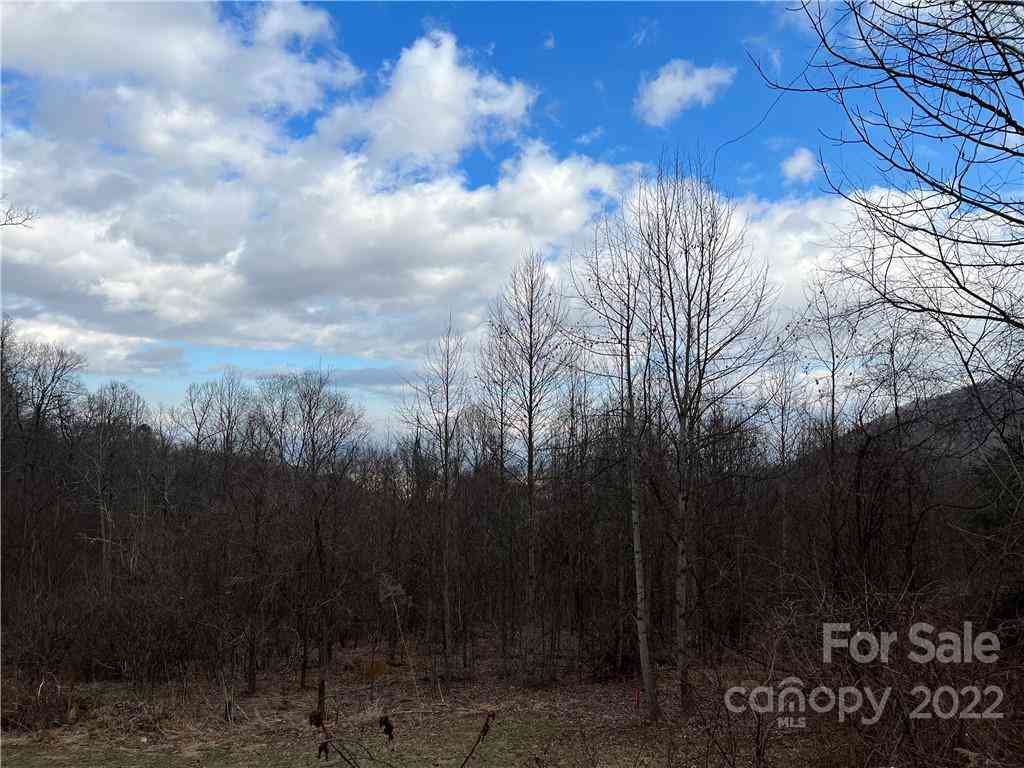 163 View Ridge Parkway, Leicester, North Carolina image 7