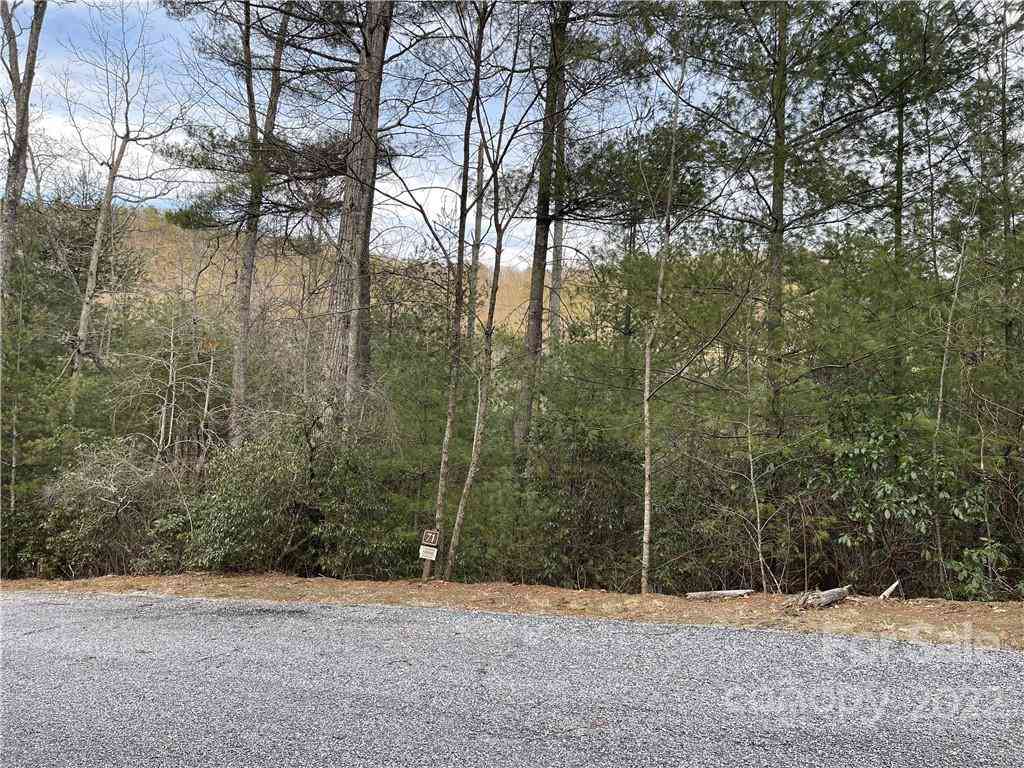 55 Boone Cove Road #71, Zirconia, North Carolina image 2