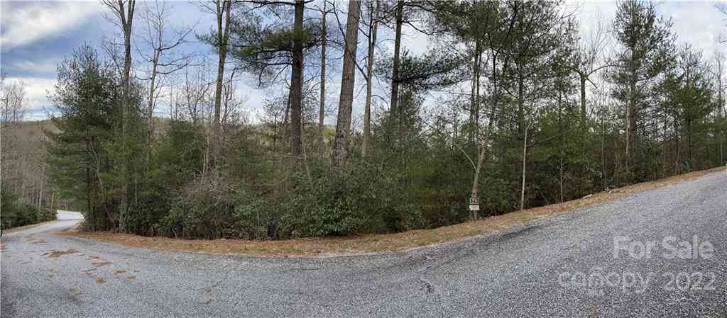 55 Boone Cove Road #71, Zirconia, North Carolina image 4