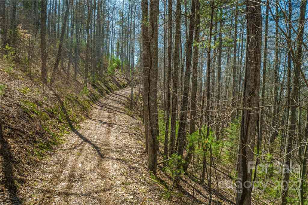 Saylor Lake Road, Bakersville, North Carolina image 26