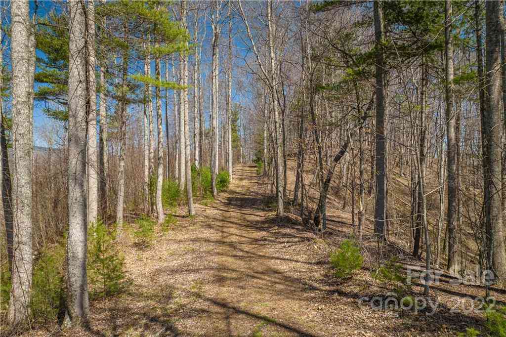 Saylor Lake Road, Bakersville, North Carolina image 5