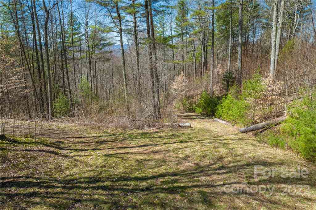 Saylor Lake Road, Bakersville, North Carolina image 25