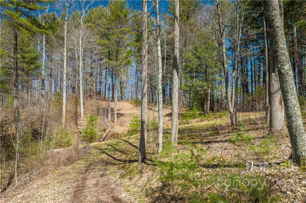 Saylor Lake Road, Bakersville, North Carolina image 23