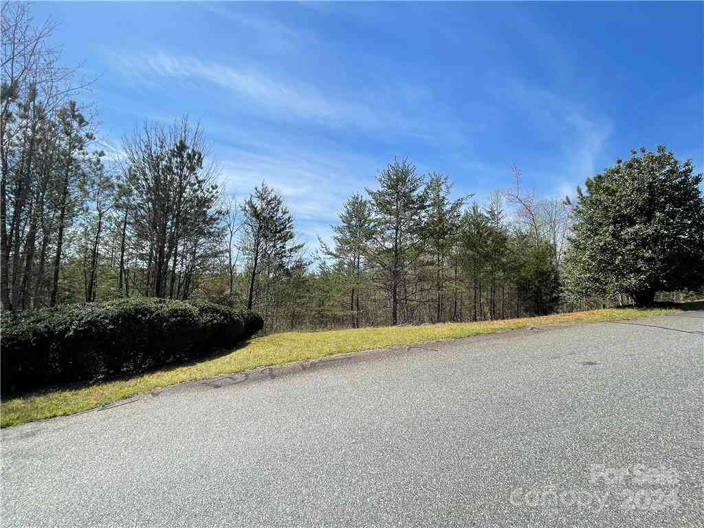 121 Jobes Trail #35, Mill Spring, North Carolina image 11