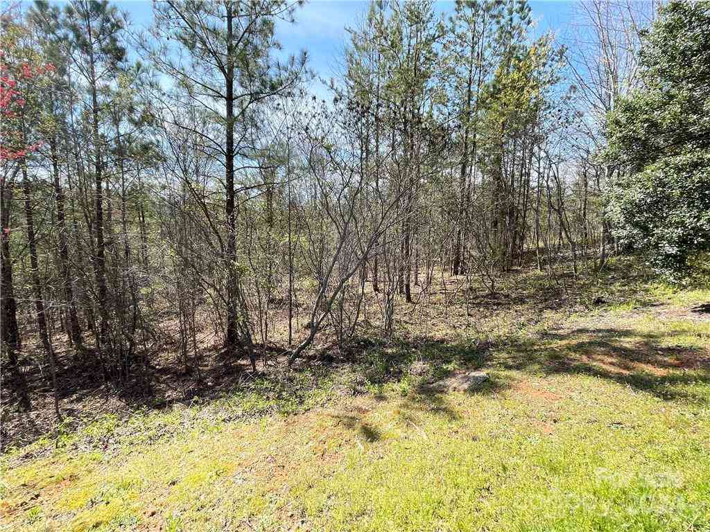 121 Jobes Trail #35, Mill Spring, North Carolina image 12