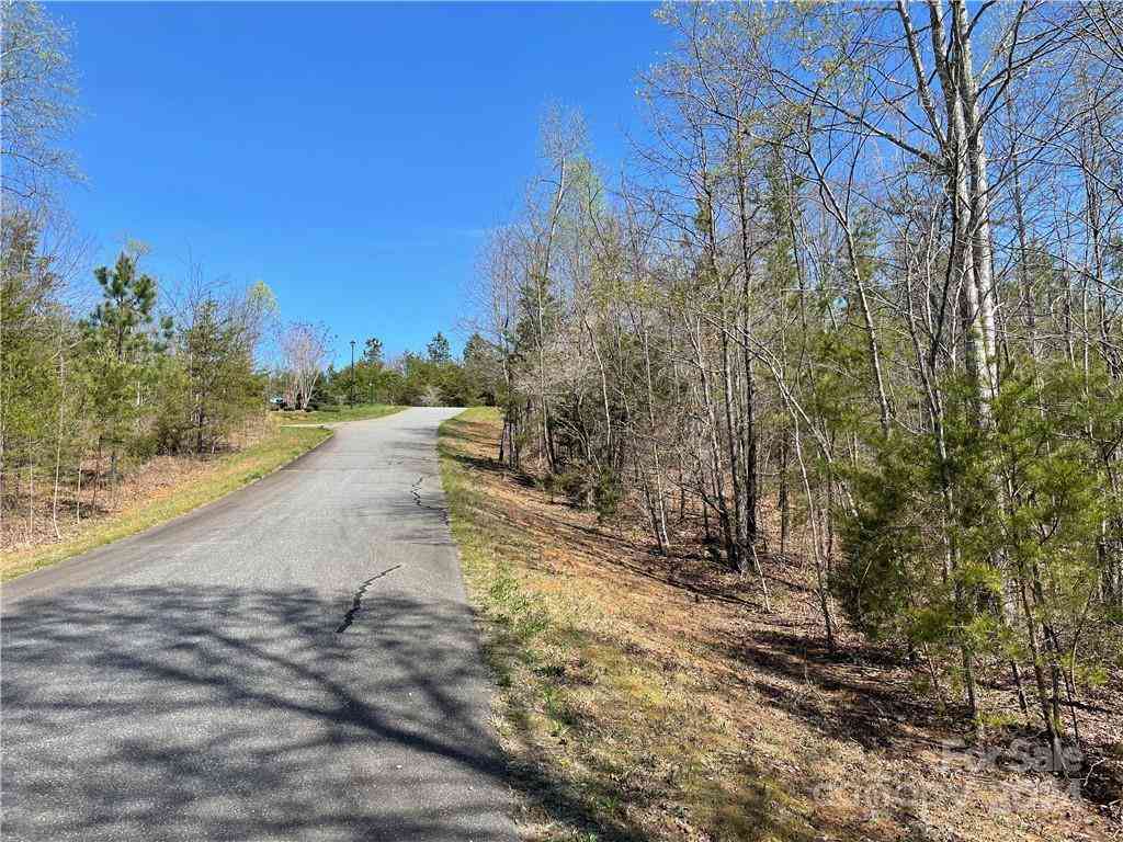 121 Jobes Trail #35, Mill Spring, North Carolina image 10