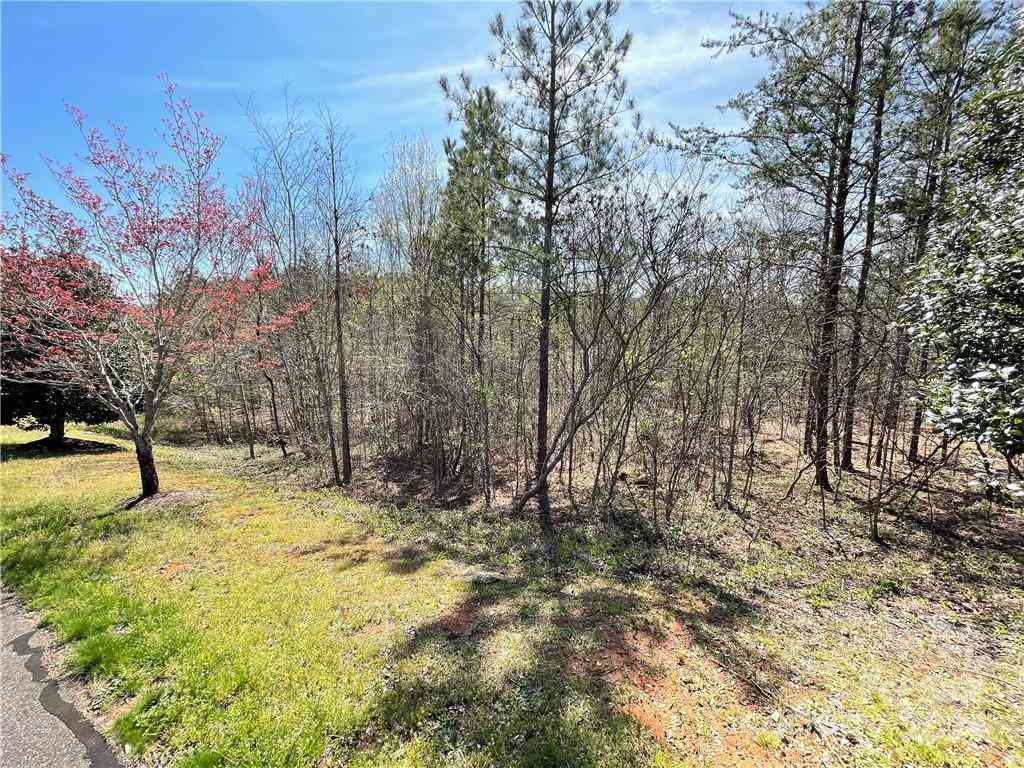 121 Jobes Trail #35, Mill Spring, North Carolina image 4