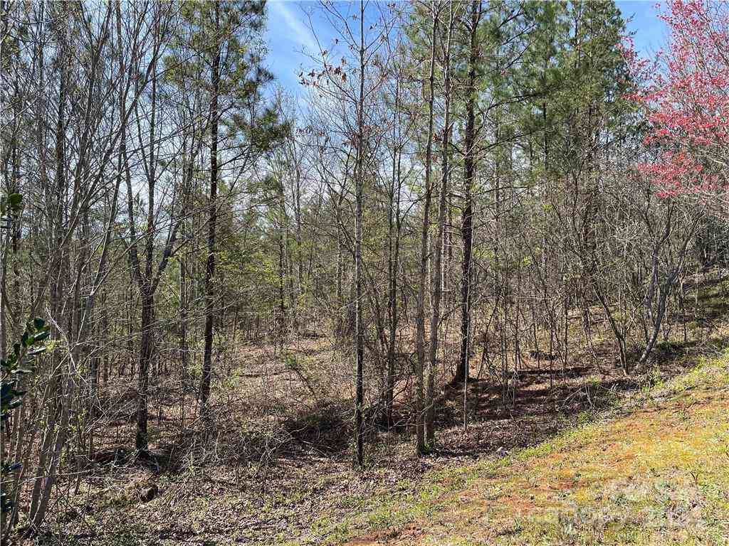 121 Jobes Trail #35, Mill Spring, North Carolina image 7