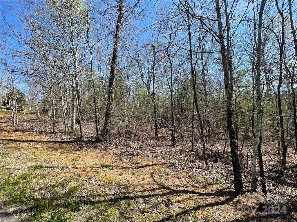 121 Jobes Trail #35, Mill Spring, North Carolina image 8
