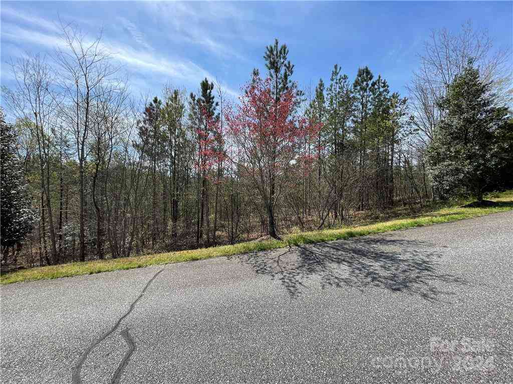 121 Jobes Trail #35, Mill Spring, North Carolina image 5