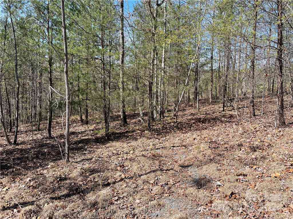121 Jobes Trail #35, Mill Spring, North Carolina image 13